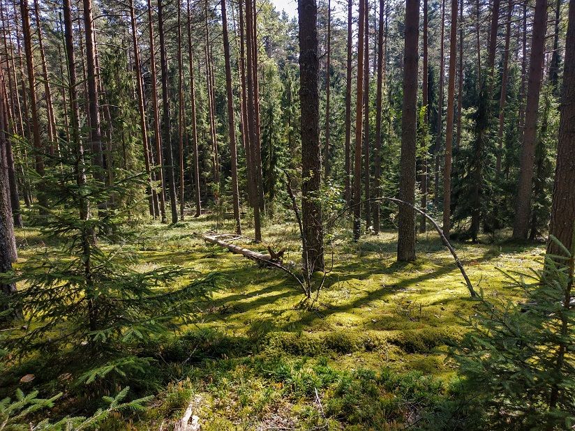 Национальный парк Валдайский