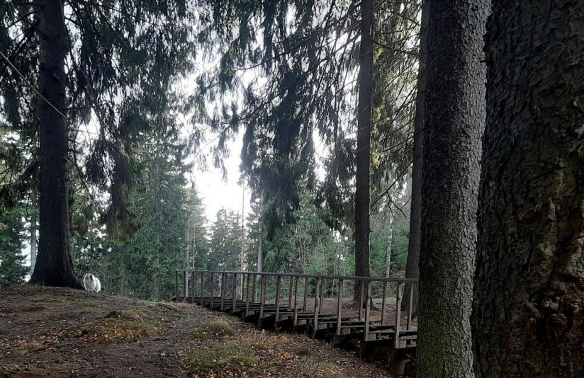 Румболовский парк