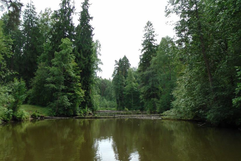 парк Софиевка