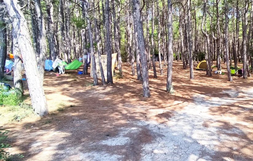 «Сосновый бор» в Дивноморском