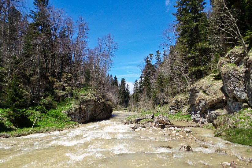 Река Курджипс