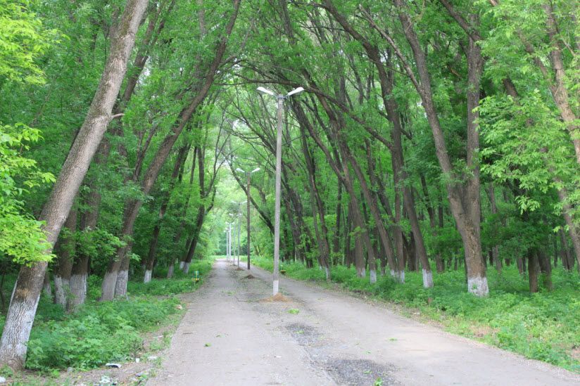 Роща «Красная весна»