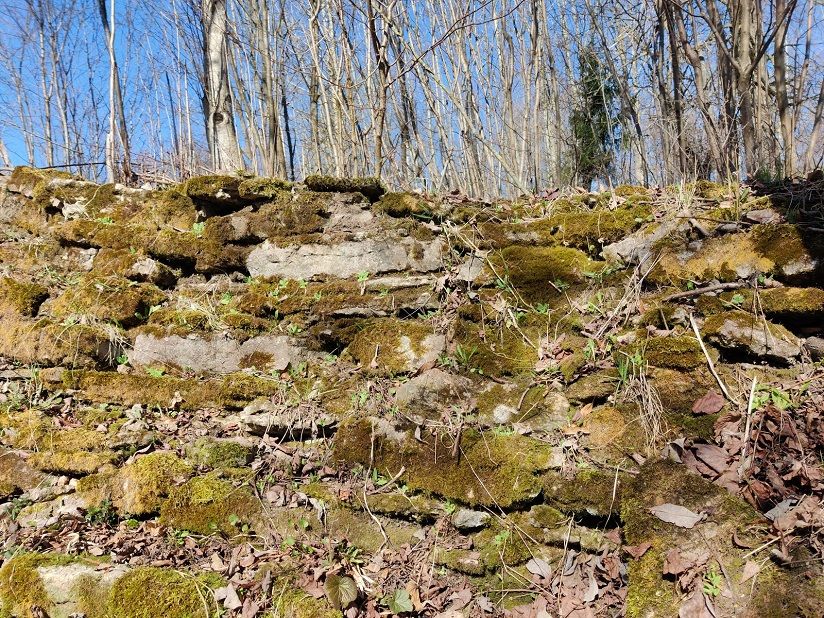 «Любшанская» крепость