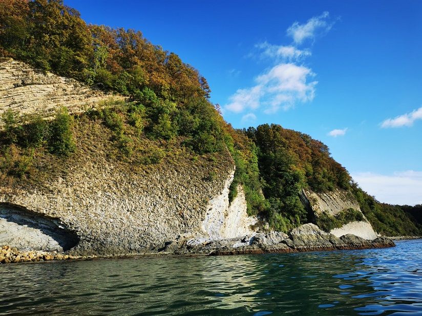 Мышиные норы