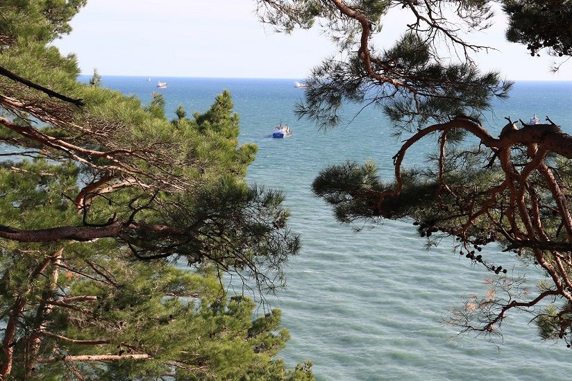 Лесопарк «Кадош»