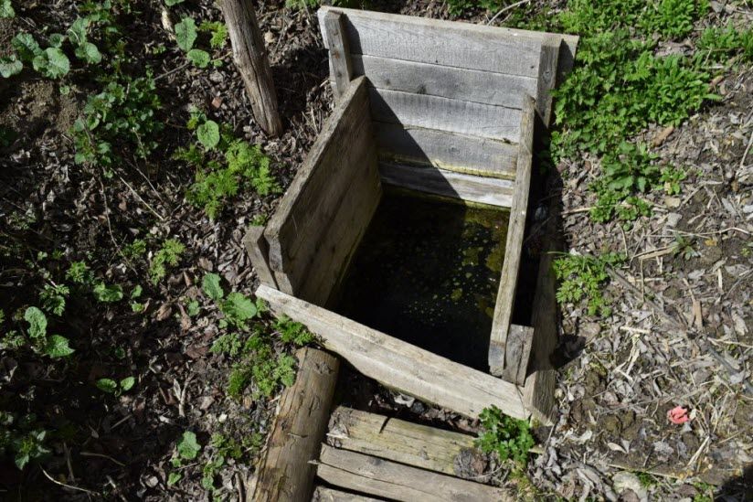 Целительный источник Василия Прозренного