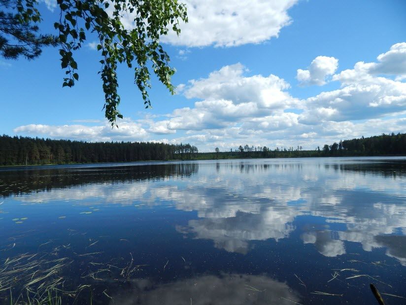 Шумновские озёра