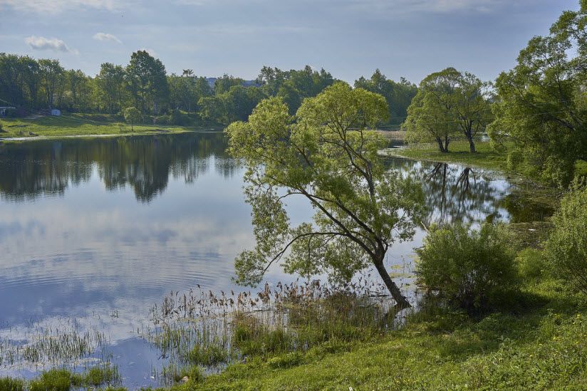 Река Донховка