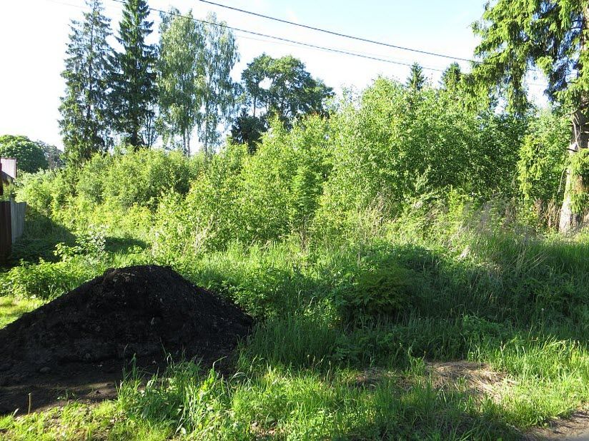 Яблоневый сад