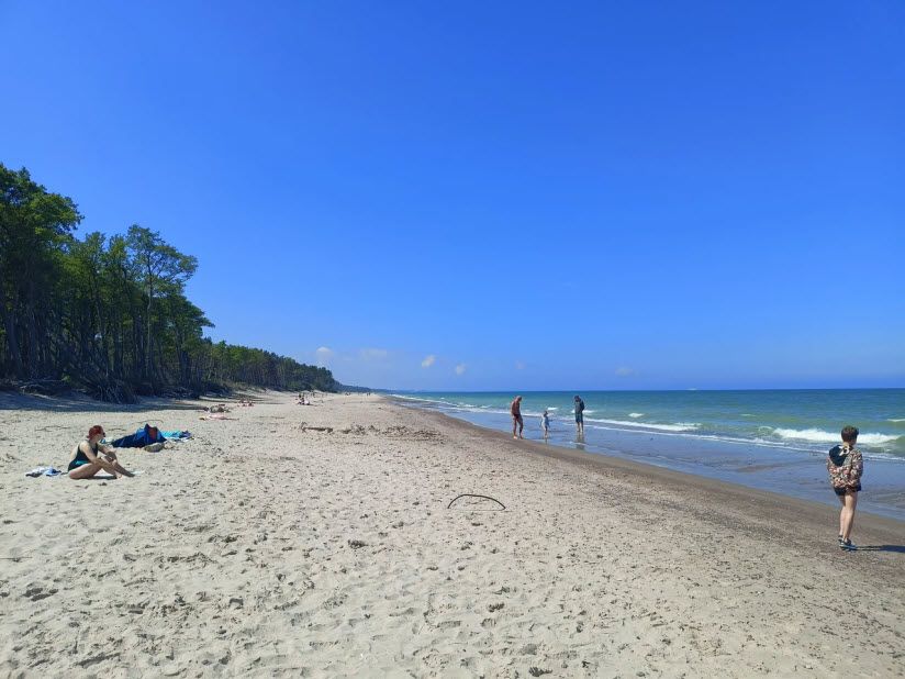 Променад посёлка Лесной