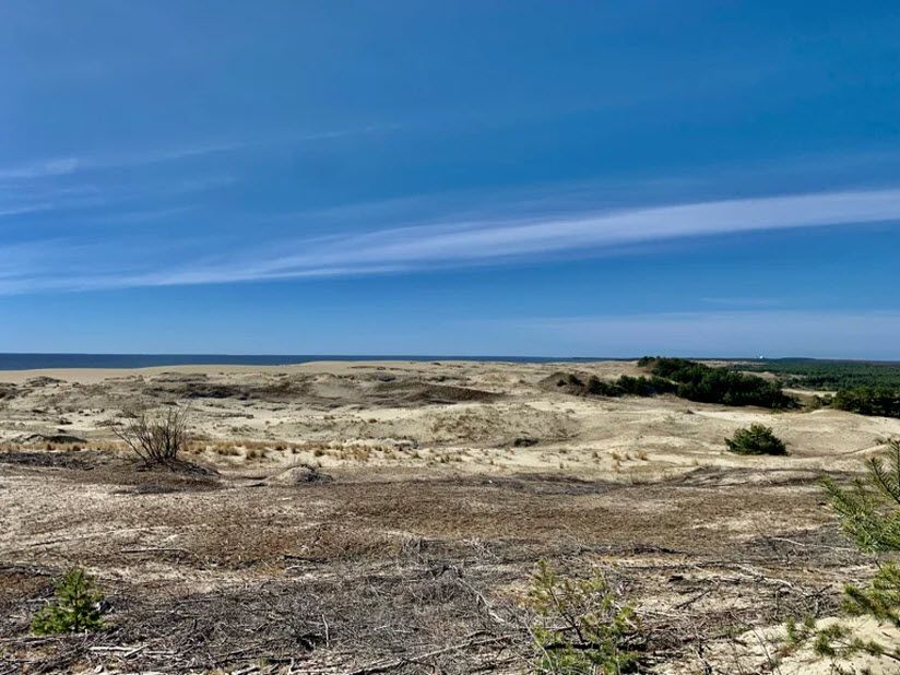 Дюна Ореховая