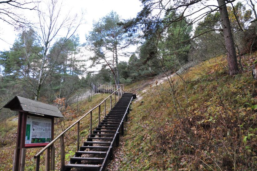 Высота Мюллера