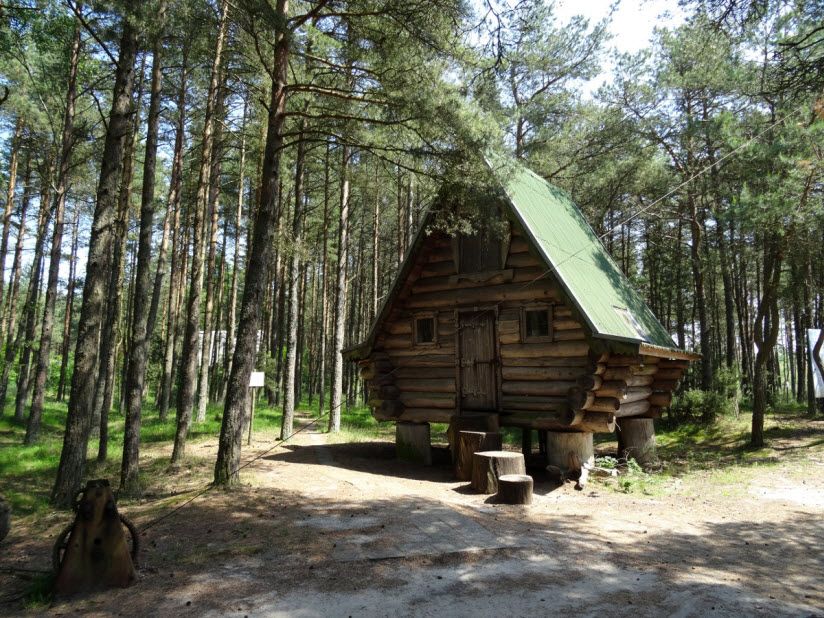 Орнитологическая станция «Фрингилла»