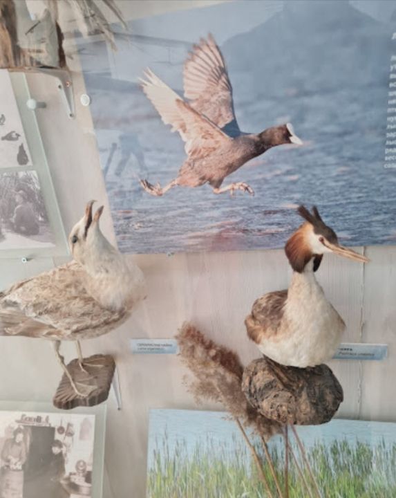 Музей природы Куршской косы