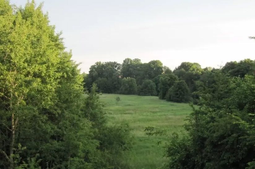 Правдинский лес