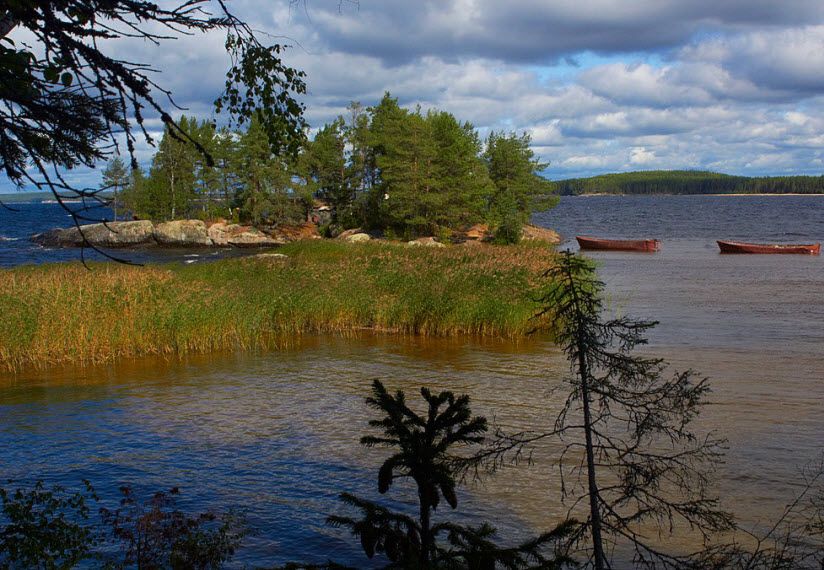 Ландшафтный заказник «Муромский»