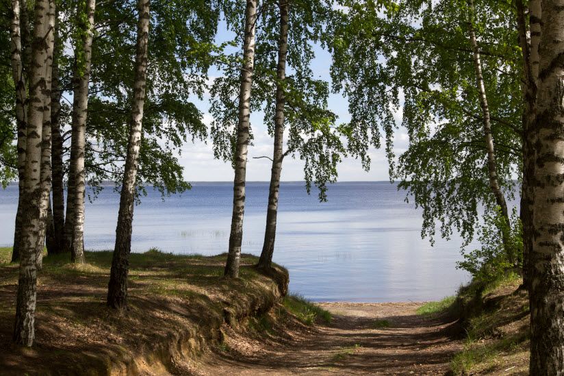 Рыбинское водохранилище