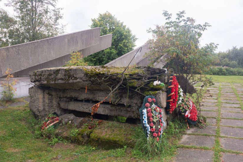 Дот Типанова