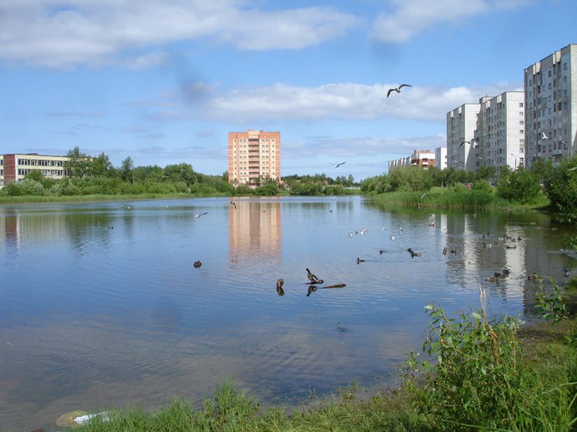 Чаячье озеро