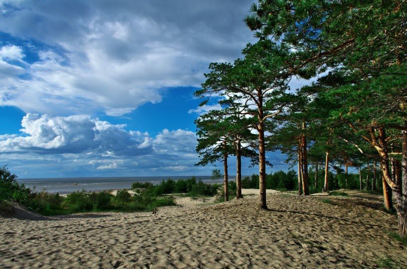 Остров Ягры