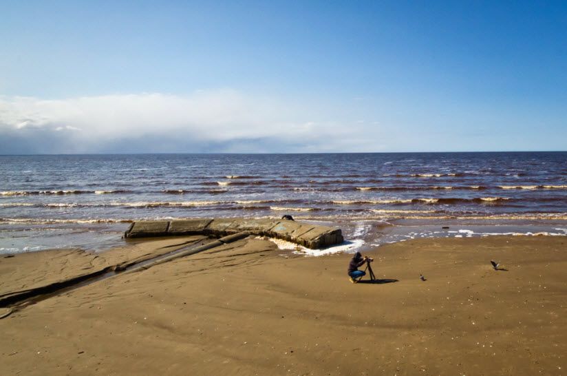 Двинская губа