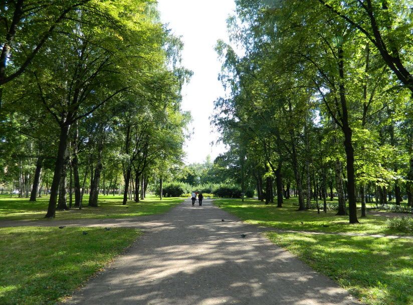 Сад «Василеостровец»