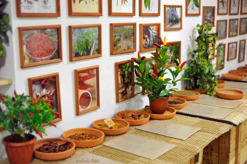 Музей специй