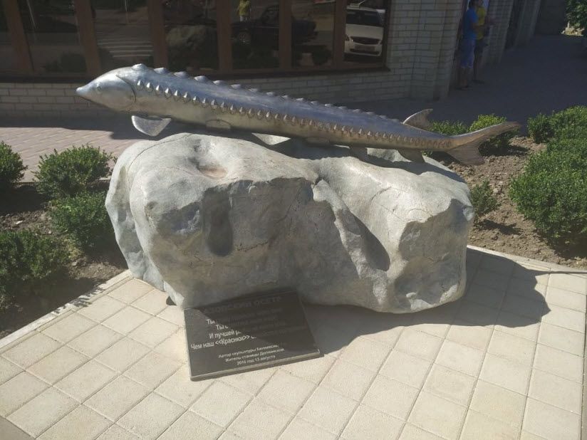 Памятник Осетру