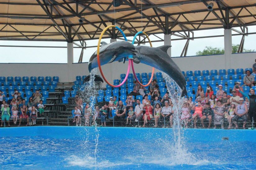 Дельфинарий «Немо»