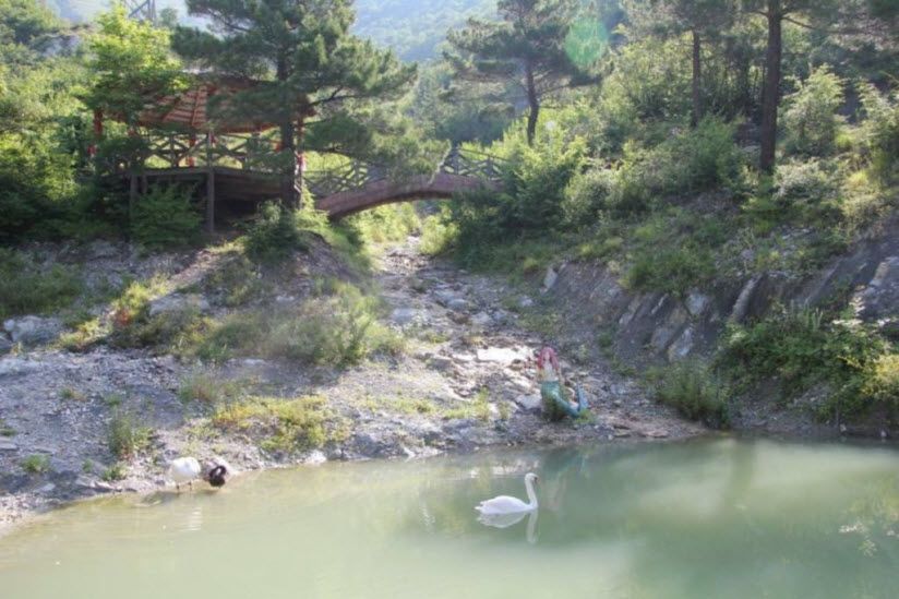 Форелевое хозяйство