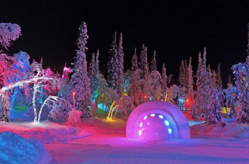 Парк «Таинственный лес»