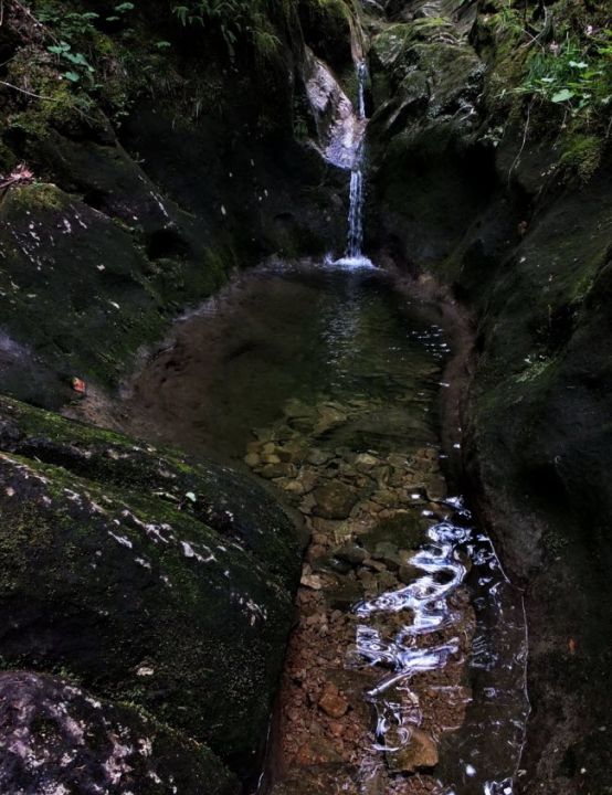 Пальмовый водопад