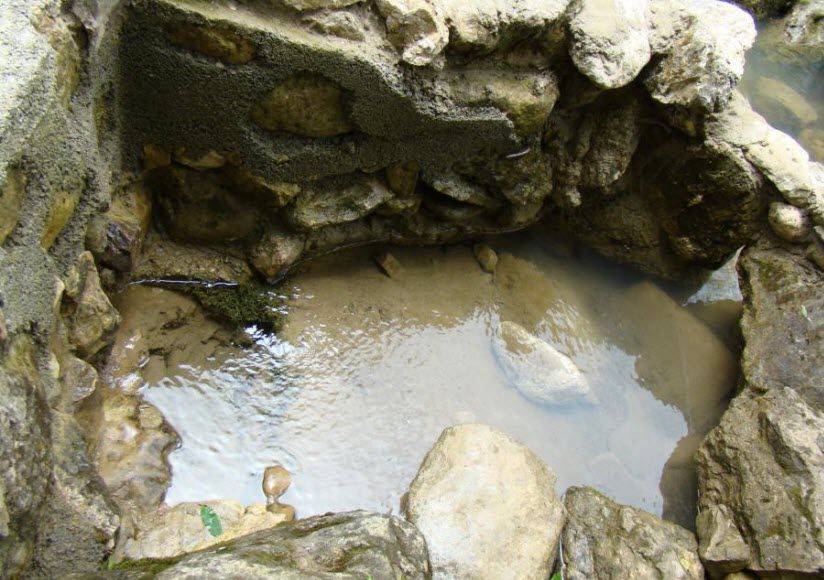 Серебряный родник