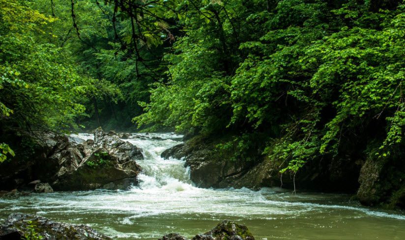 Река Курджипс