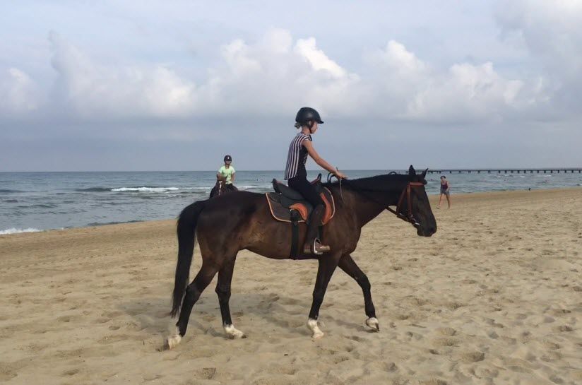 Конноспортивный клуб «Асимина»