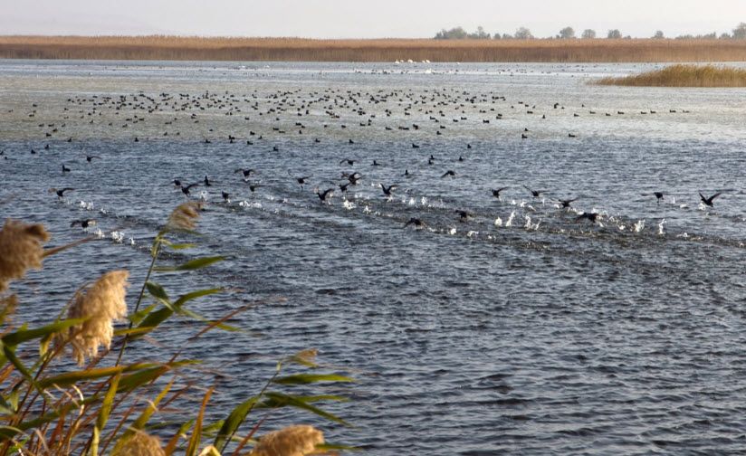 Чембурское озеро