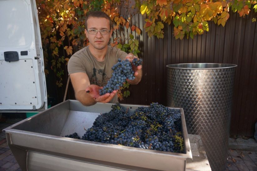 Семейная винодельня Романа Антоненко