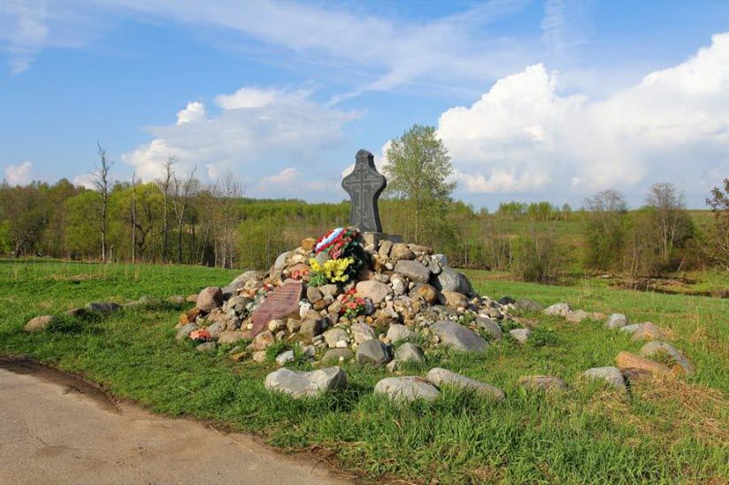 Бортеневское поле