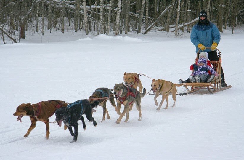 Центр ездового спорта «Эко-Лэнд»
