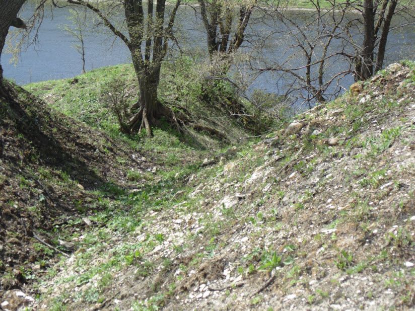 Сельцовские заломки