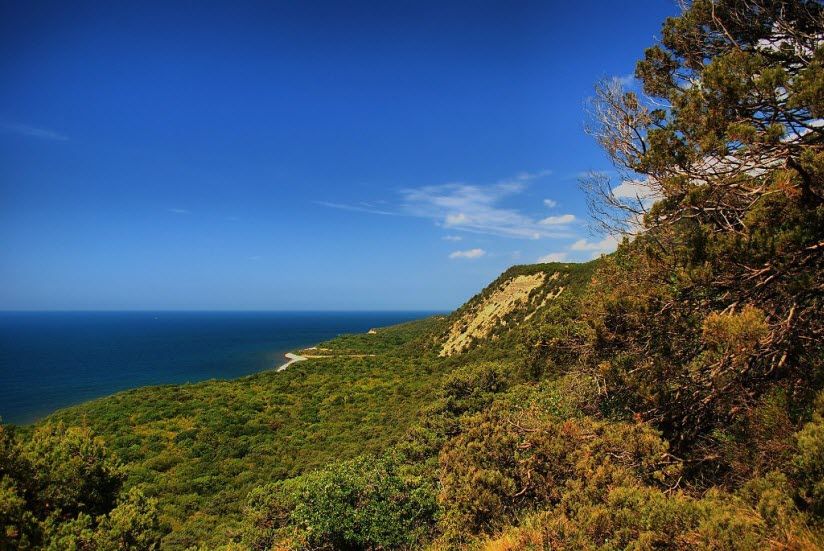 Заказник «Большой Утриш»