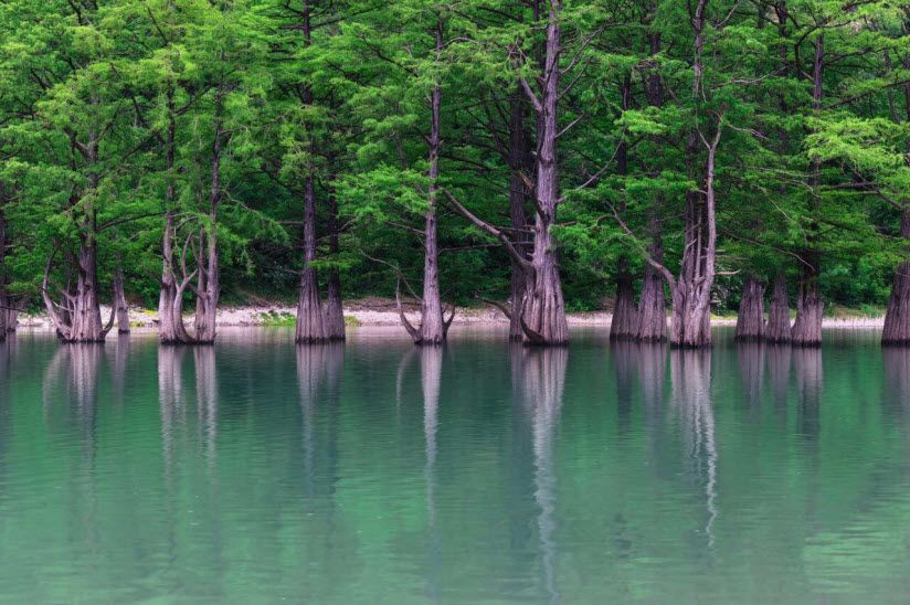 Кипарисовое озеро Сукко