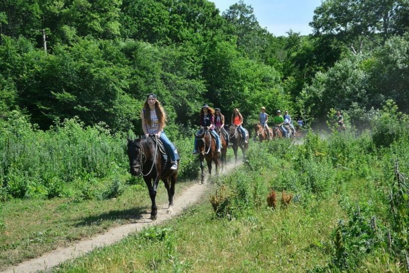 Крестьянско-фермерское хозяйство «Конный путь»