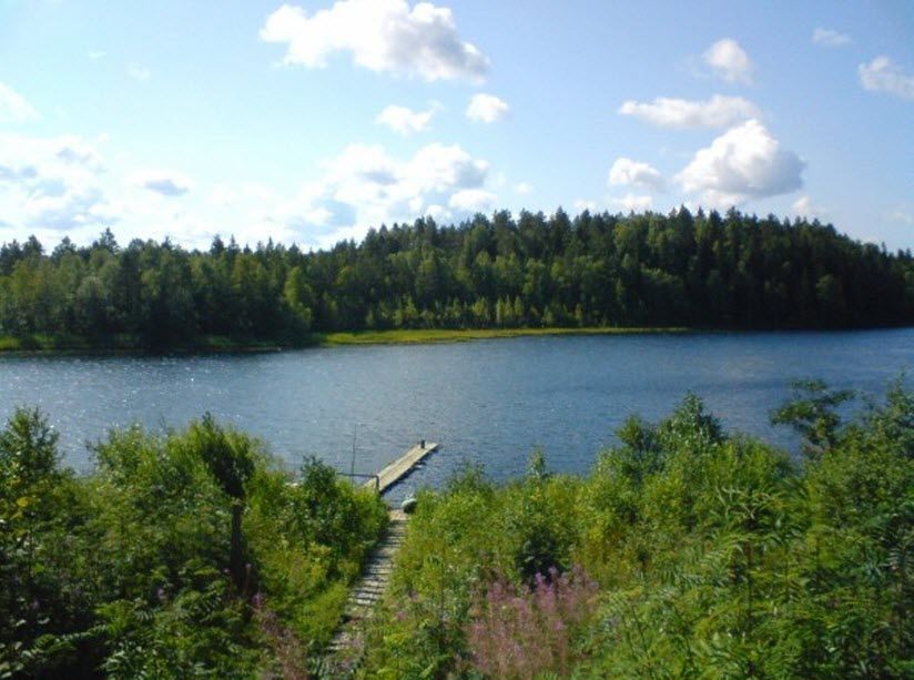 Ландшафтный заказник «Янсорский»