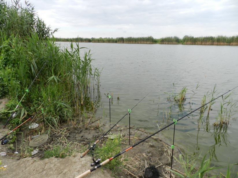 Рыбопитомники