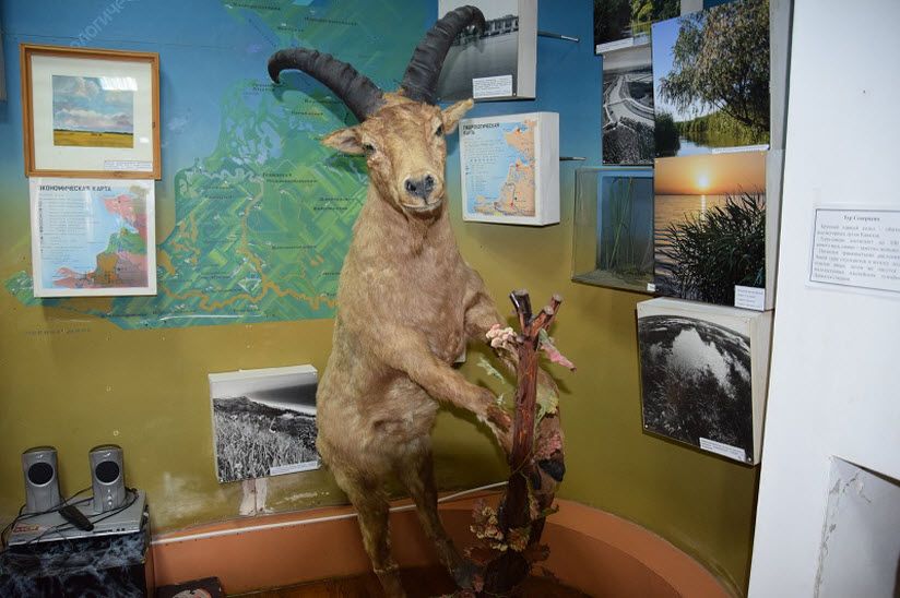 Музей природы восточного Приазовья