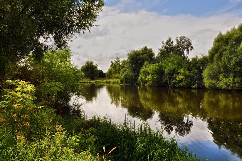 Река Венёвка