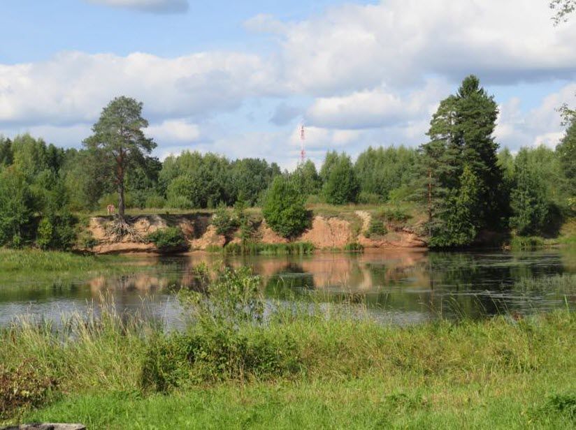 Титово поле