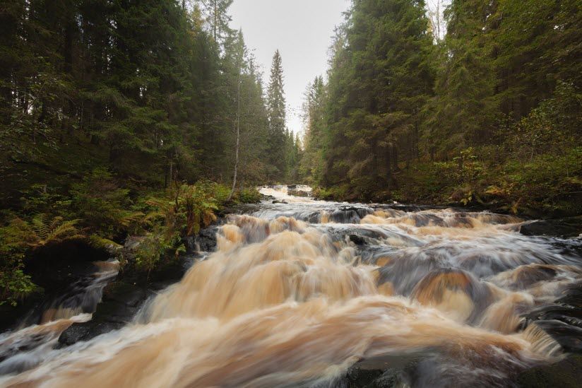 Эко-парк «Долина водопадов»