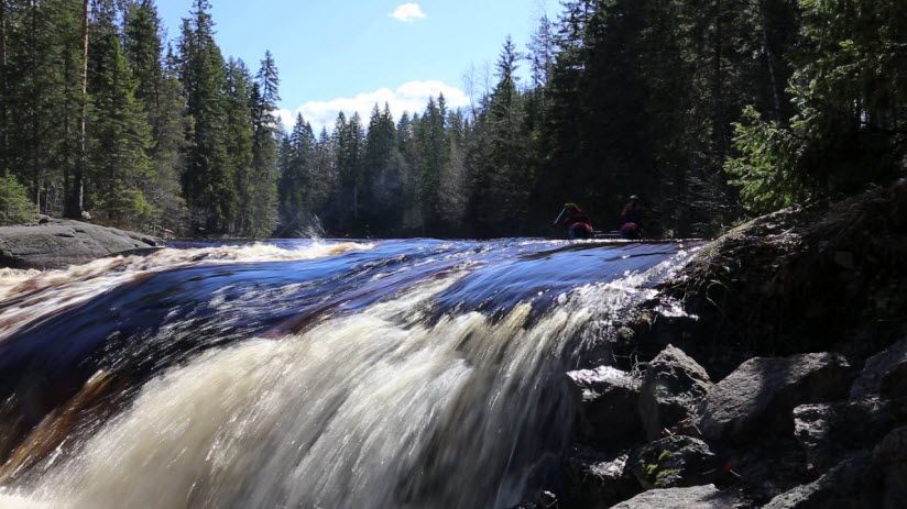 Сирнитсанкоски (Розовый слон)
